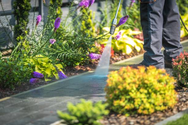 Best Sidewalk and Walkway Cleaning  in Nevada, TX