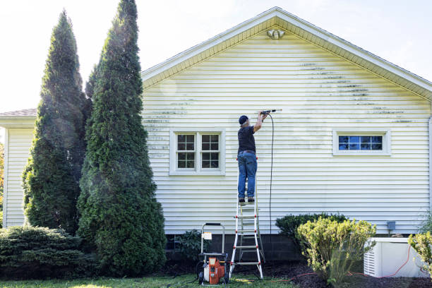 Best House Exterior Washing  in Nevada, TX
